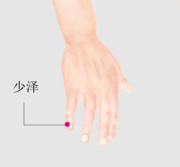 老中医的养生智慧-经络刺血排毒法